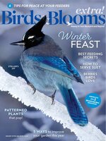 Birds and Blooms Extra